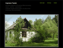 Tablet Screenshot of gajowkapasieki.pl
